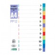 PREGRADNI KARTON A4 12-DELNI LEVIA PVC 009402
