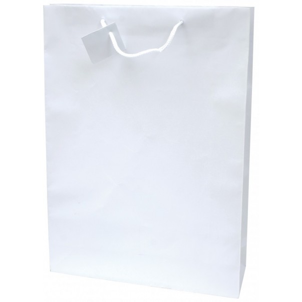 VREČKA DARILNA 330X457X102 PLATIFICIRANA MAT (BELA)