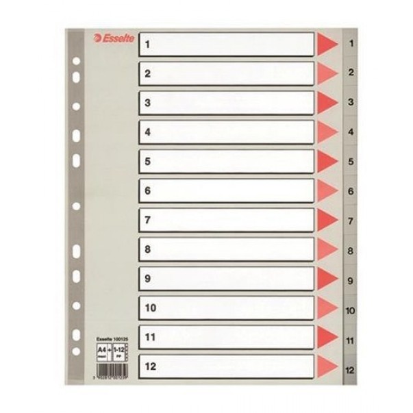 PREGRADNI KARTON 1-12 ESSELTE PVC