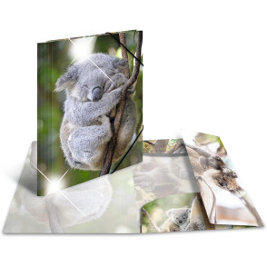 MAPA S KLAPO IN ELASTIKO A4 HERMA KOALA GLOSY